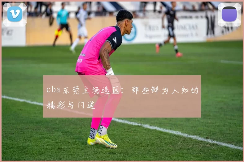 cba东莞主场选区：那些鲜为人知的精彩与门道