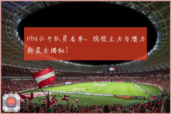 nba公牛队员名单，现役主力与潜力新星全揭秘！
