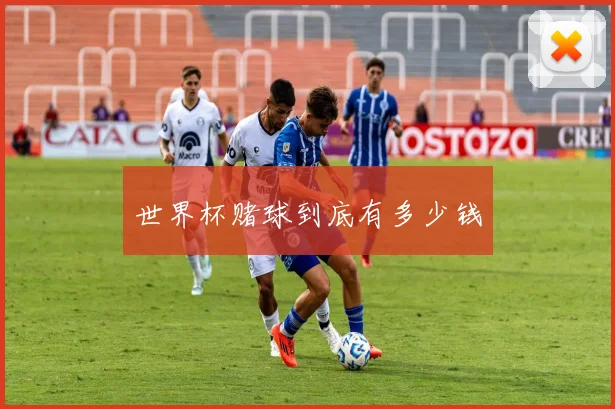 世界杯赌球到底有多少钱