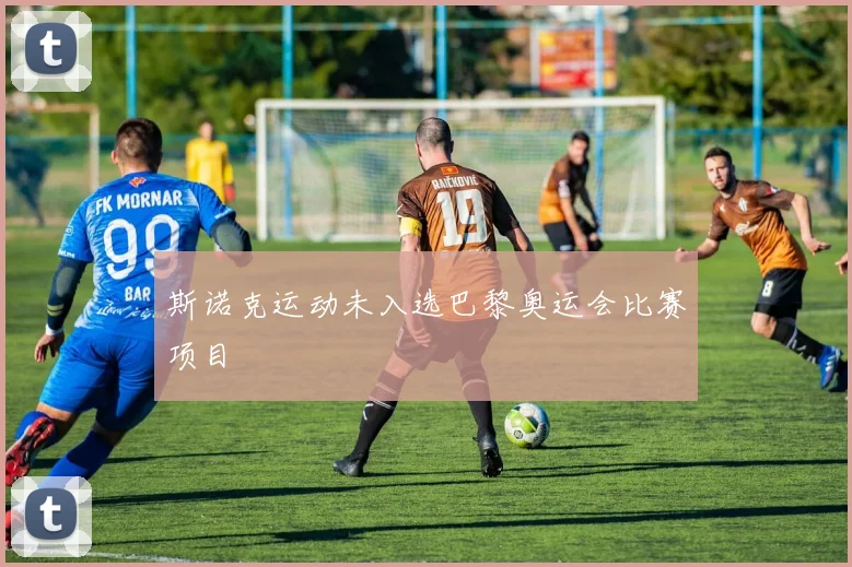 斯诺克运动未入选巴黎奥运会比赛项目