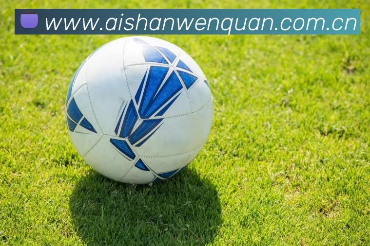 「开云中国官方网站」Kaiyun·登录入口 - 科技集团品牌故事