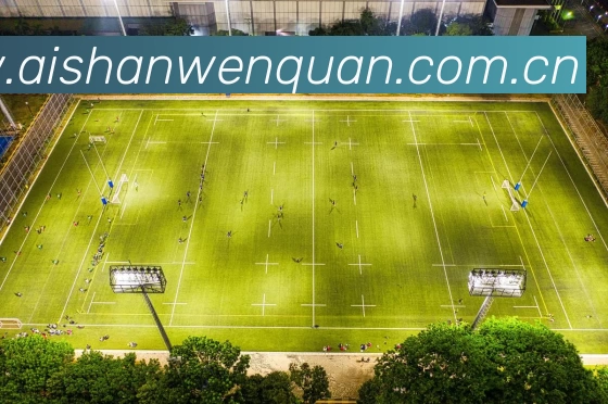 「开云中国官方网站」Kaiyun·登录入口 - 科技集团服务体系